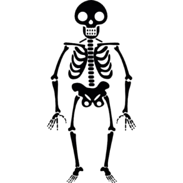 a black and white image of a skeleton