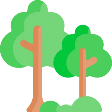 two trees with green leaves