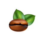 a nut with green leaves on it
