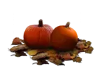 two small pumpkins sitting on top of leaves