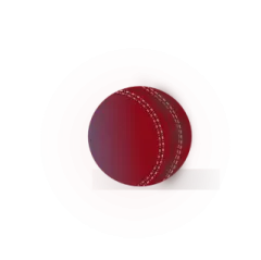 a red cricket ball on a white background