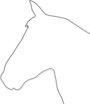 how to draw a horse head