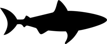 a black and white silhouette of a shark