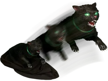 a black cat with green eyes