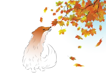 a dog sitting under a tree with autumn leaves
