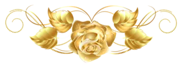 a gold rose on a white background
