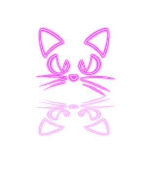a black and white cat face on a white background
