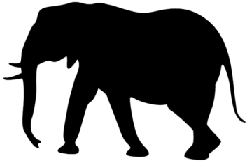 an elephant silhouetted on a white background