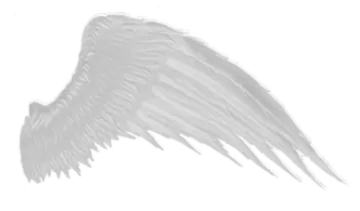 a drawing of an angel wing