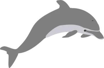 a dolphin jumping out of the water