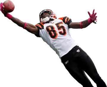 a football player catching a ball in the air
