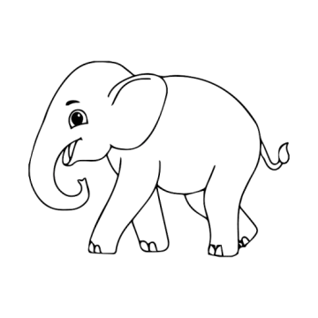 how to draw an elephant