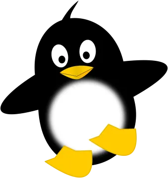a black and white penguin with yellow feet