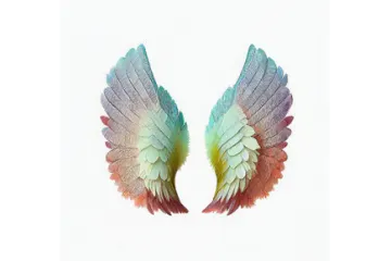 a pair of wings