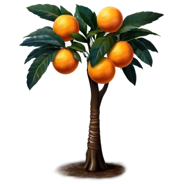 a bunch of oranges on a tree