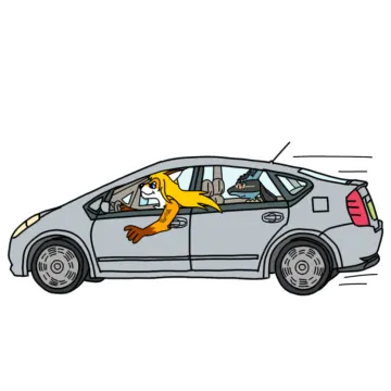 an image of a car with a person in it