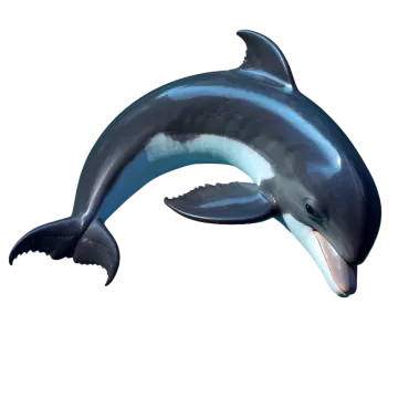 a dolphin jumping out of the water