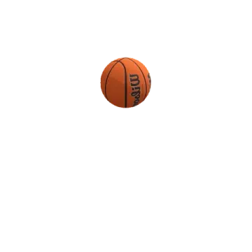 a basketball ball on a white background