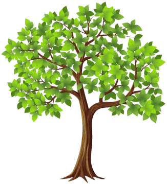 a tree with green leaves