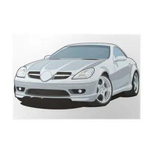 the front view of a white car