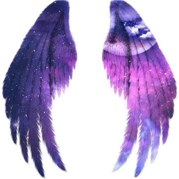 two purple and blue feathers with stars on them