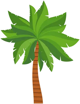 a palm tree