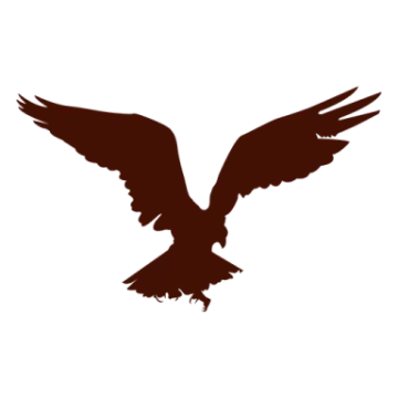 an eagle silhouetted on a white background
