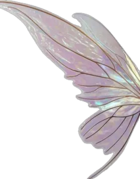 a white and purple butterfly wing