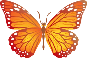 a butterfly with orange wings