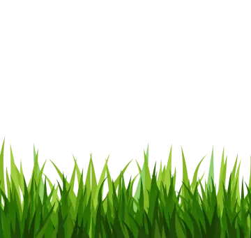 a green grass border with white background