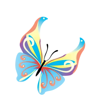 a colorful butterfly on a white background