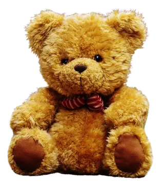 a brown teddy bear sitting on a white background