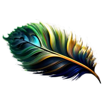 a feather on a white background