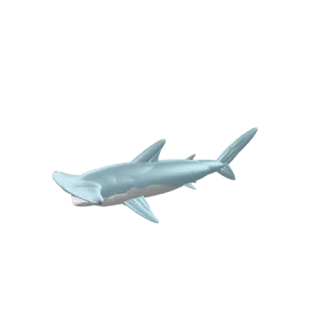 an image of a shark in the air