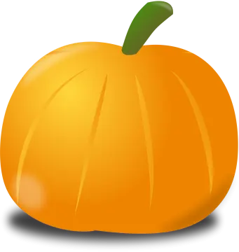 an orange pumpkin on a white background