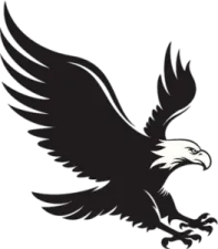 an eagle flying with its wings spread out