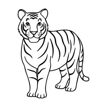 how to draw a tiger