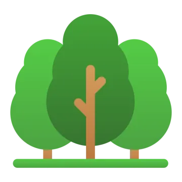 a green tree on a white background