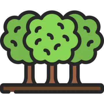 three trees on a white background