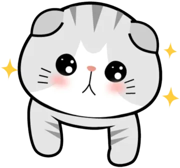 how to draw a cat step by step