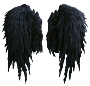 two black wings on a white background