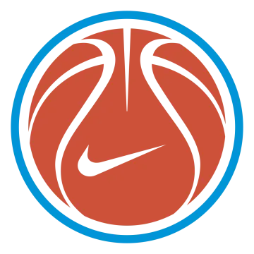a basketball ball in the center of a circle