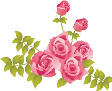 a bunch of pink roses with green leaves