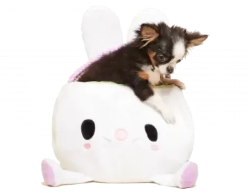 a small dog sitting on top of a stuffed animal