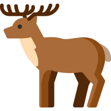 a brown deer standing on a white background