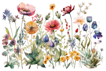 a watercolor painting of colorful flowers