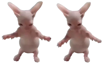 two small white rabbits standing next to each other ones