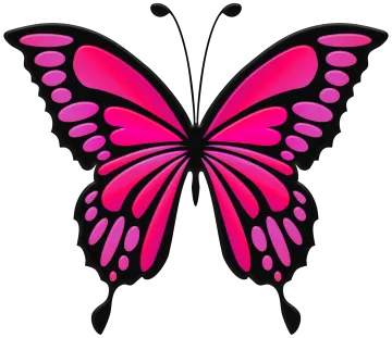 a pink butterfly on a white background