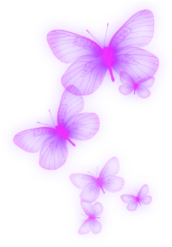three pink butterflies on a white background