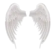 two white wings on a white background